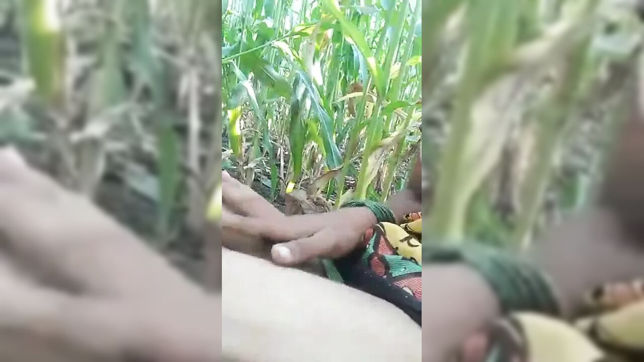My wife enjoy