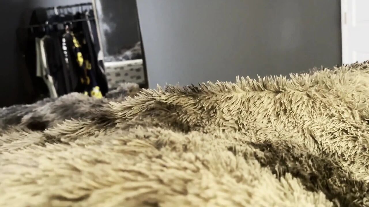 Waking up to a Blowjob