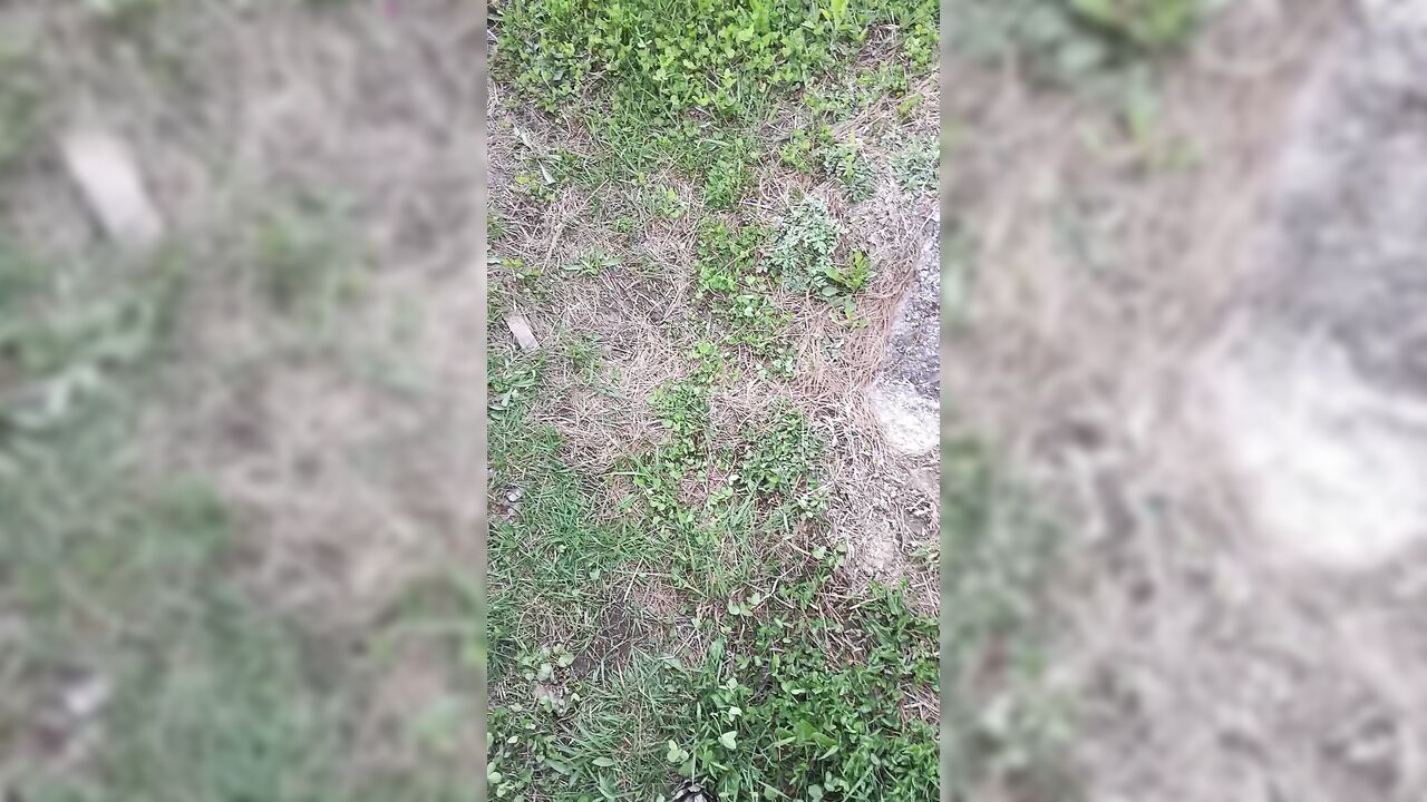 Desi miss mahi 2007 outdoor sex in mountains on manali