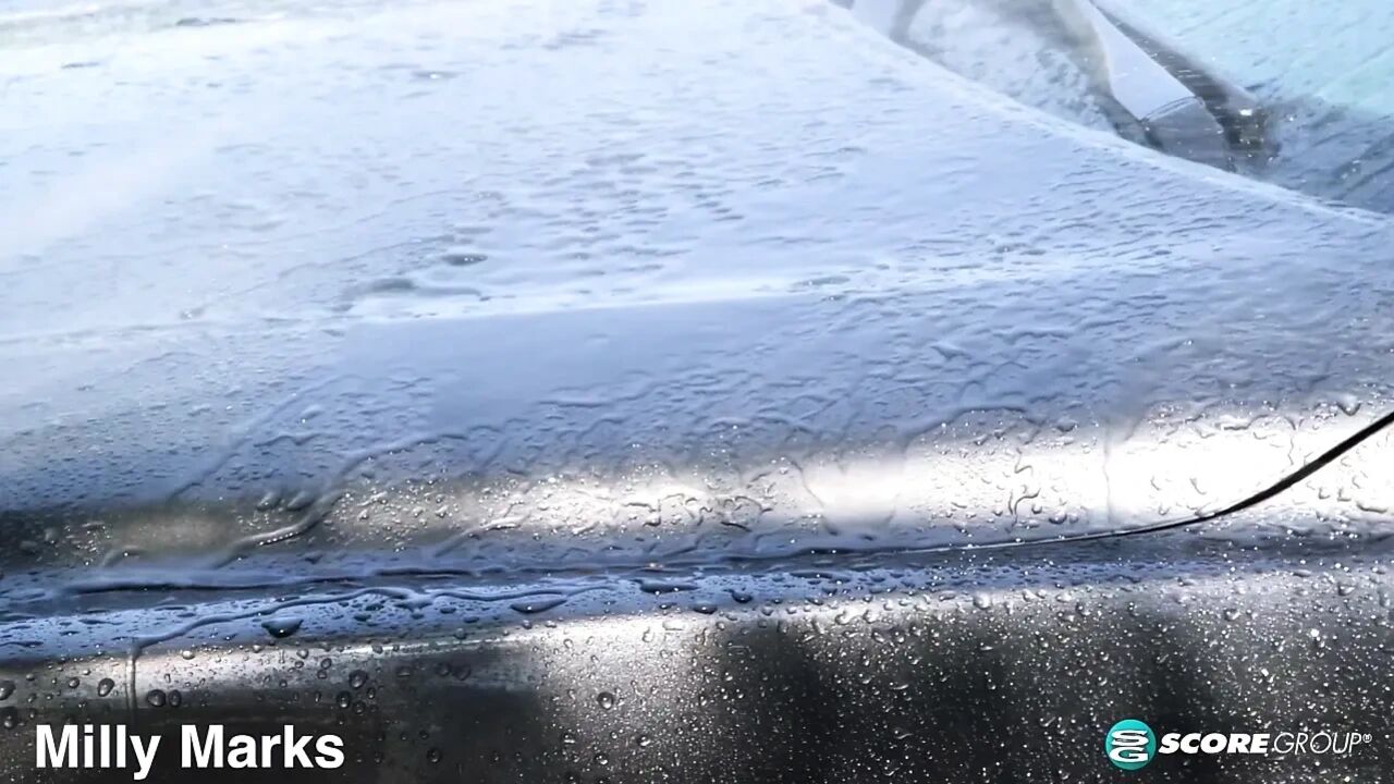 American Auto Buff Milly