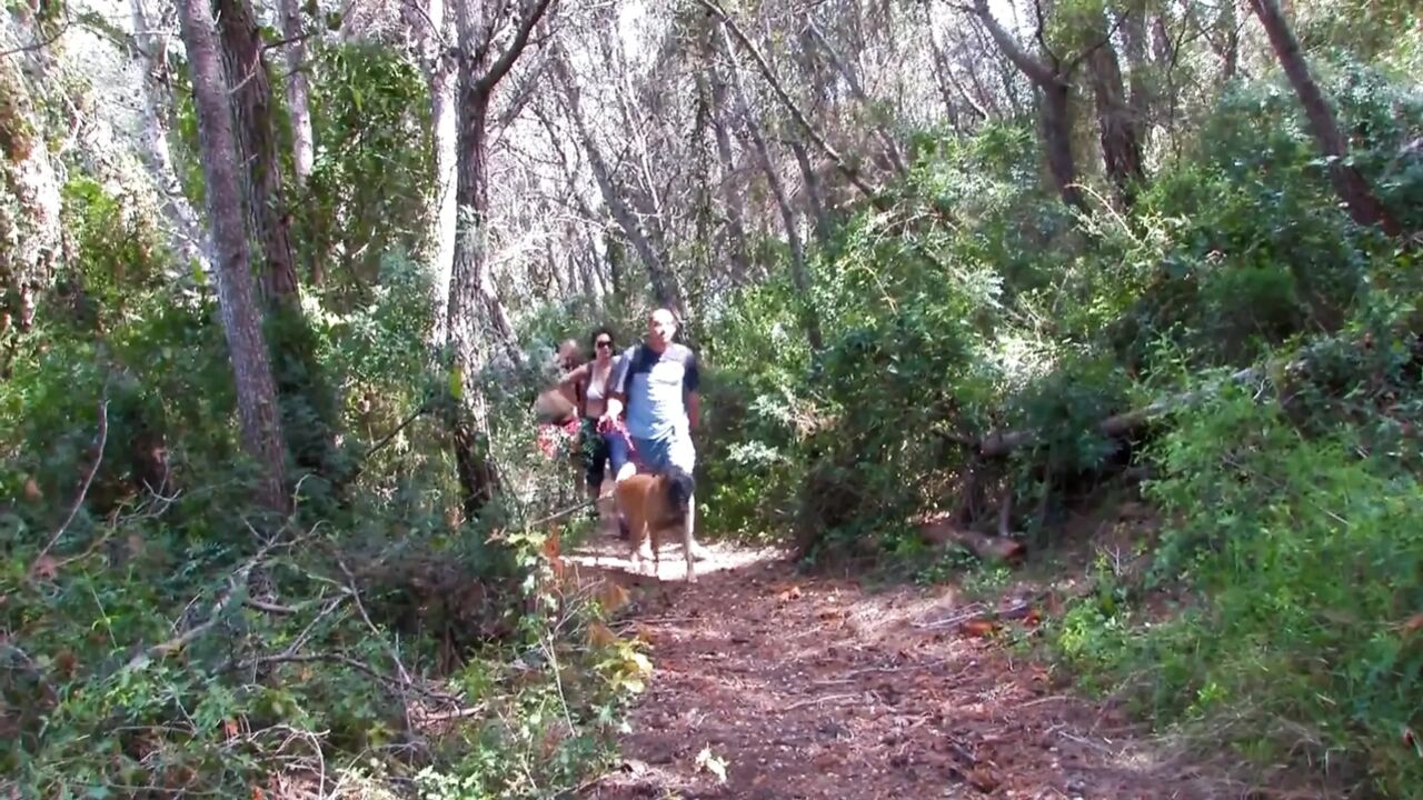 Bitch fucked in the forest