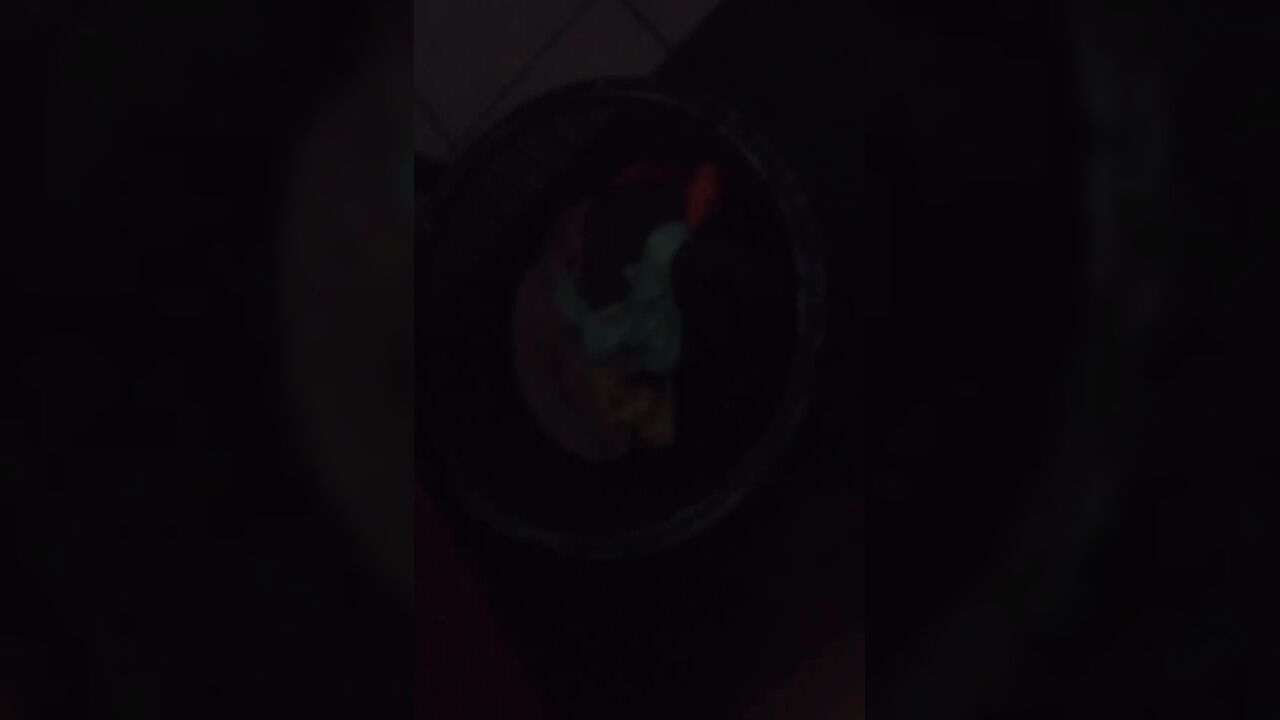 I Masturbate with My Wife's Used Thong and She Doesn't Notice