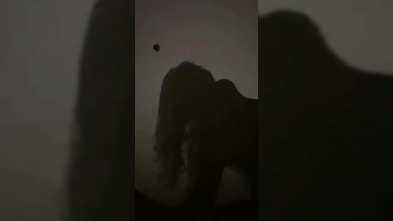 Shadow sex mallu girl and boyfriend
