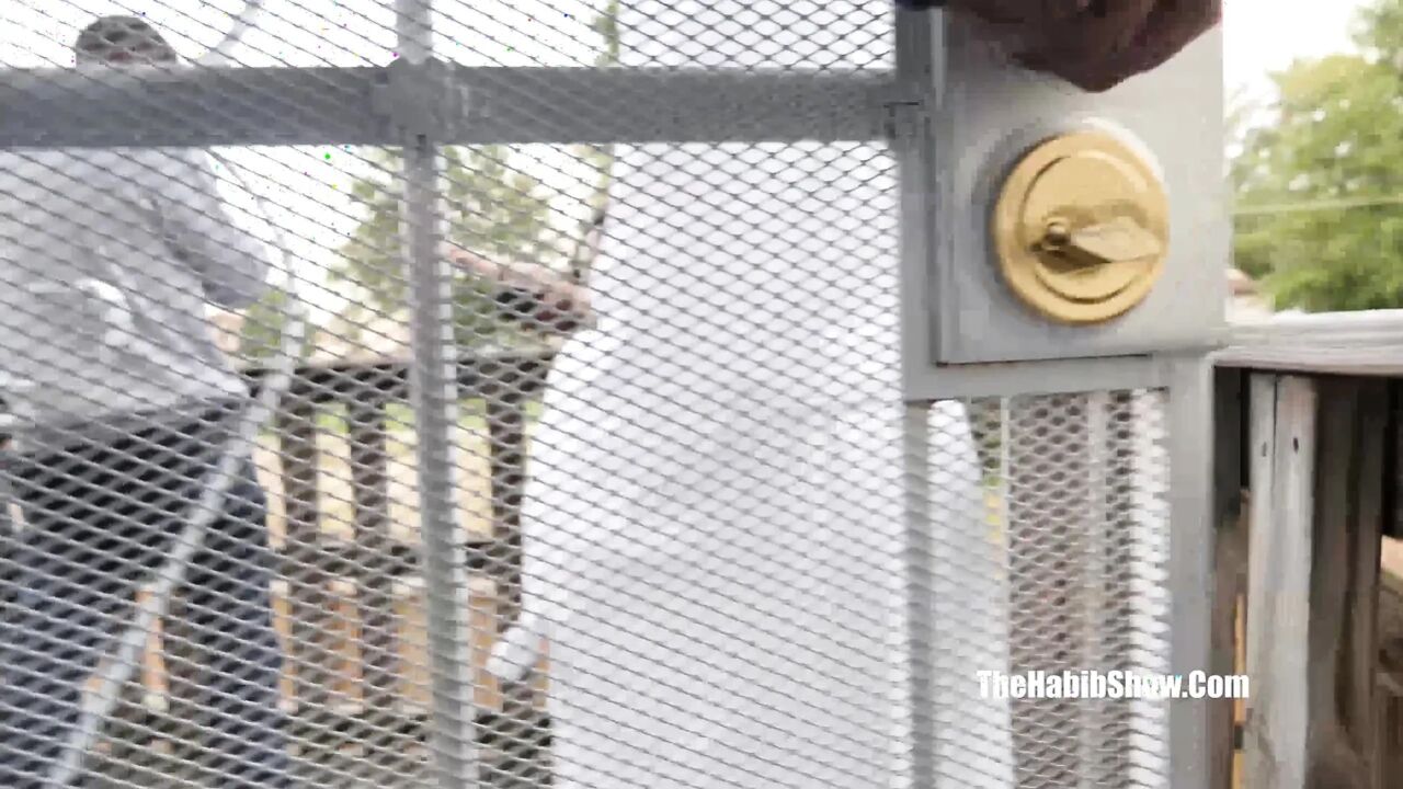 Part1... They Back Sexy Redboned Genovese and Chocolate Just Rylee Fucked by Don Prince
