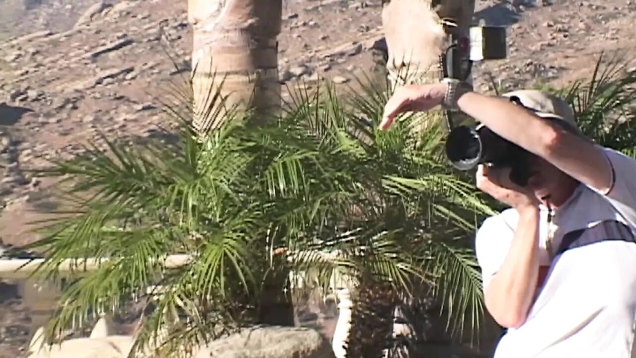 Stunning euro lezzies in an outstanding outdoor threesome