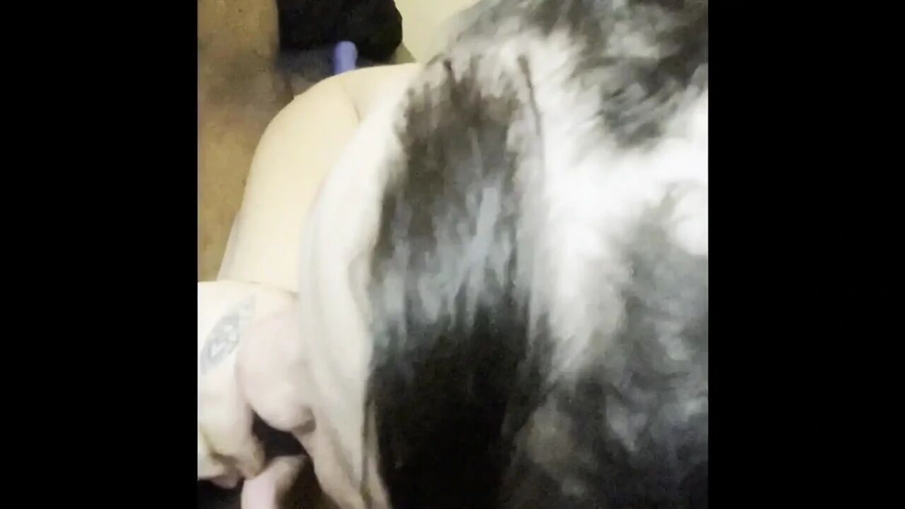 Sucking Dick Before Getting This Big Black Dick in My Wet Pussy
