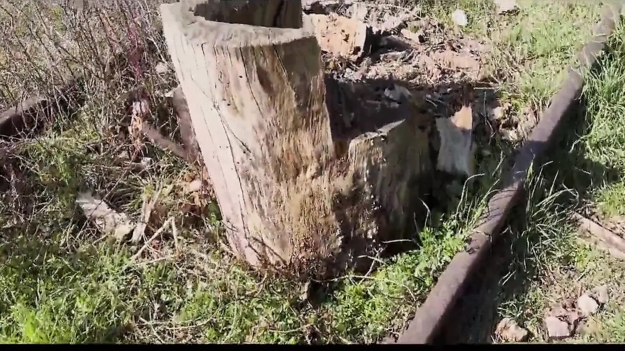 Lara's Fantasies Ep.2 - in the Woods Looking for Cocks to Suck