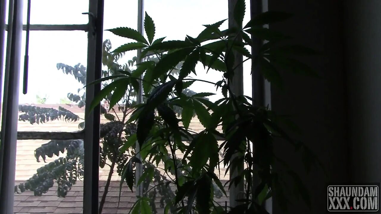 A very creamy POV
