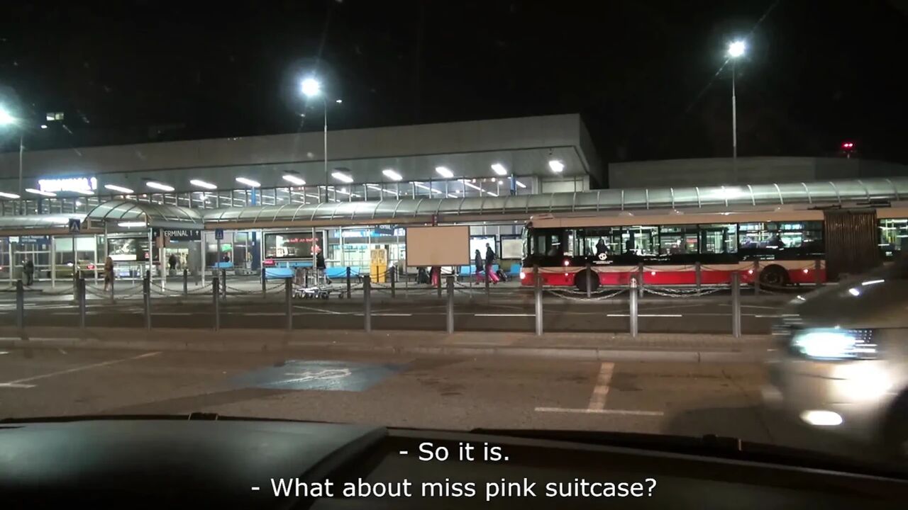 Airport Pick Up - Sasha Steele