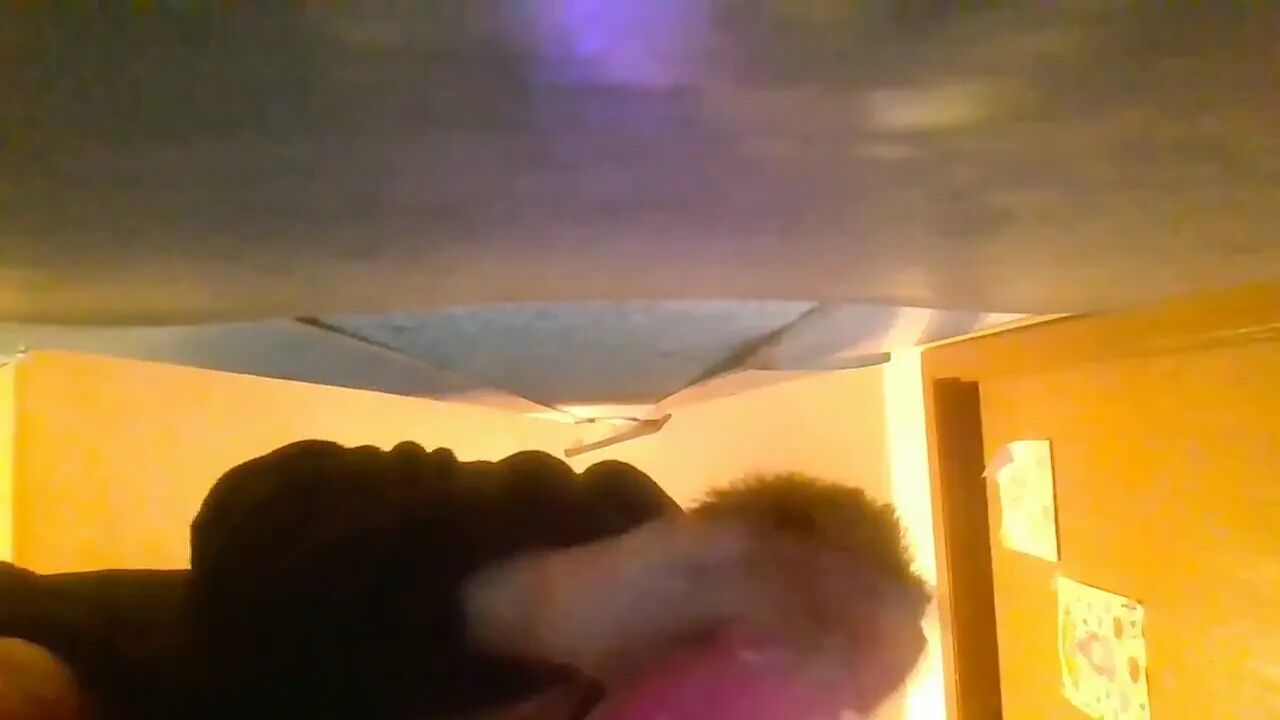 Ass Anal Sex Tight Pussy Hot Vibe Finger Me